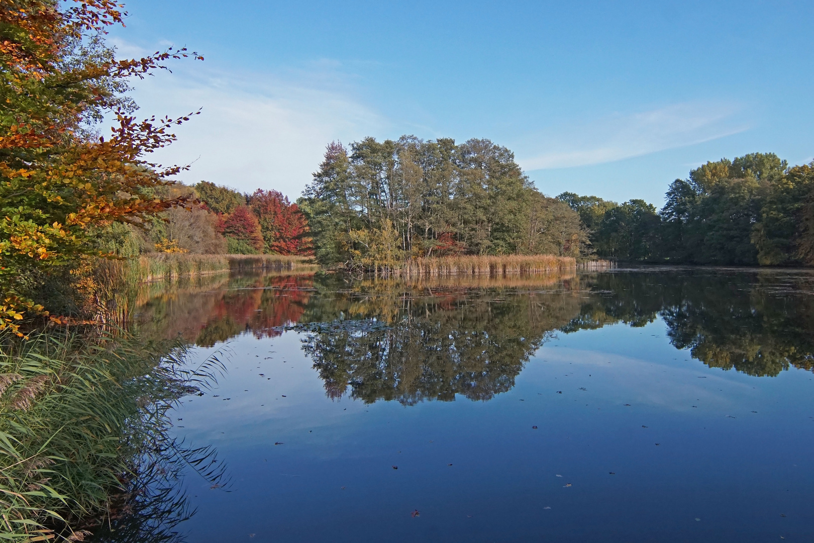 Herbstliche Spiegelung