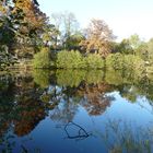 Herbstliche Spiegelung