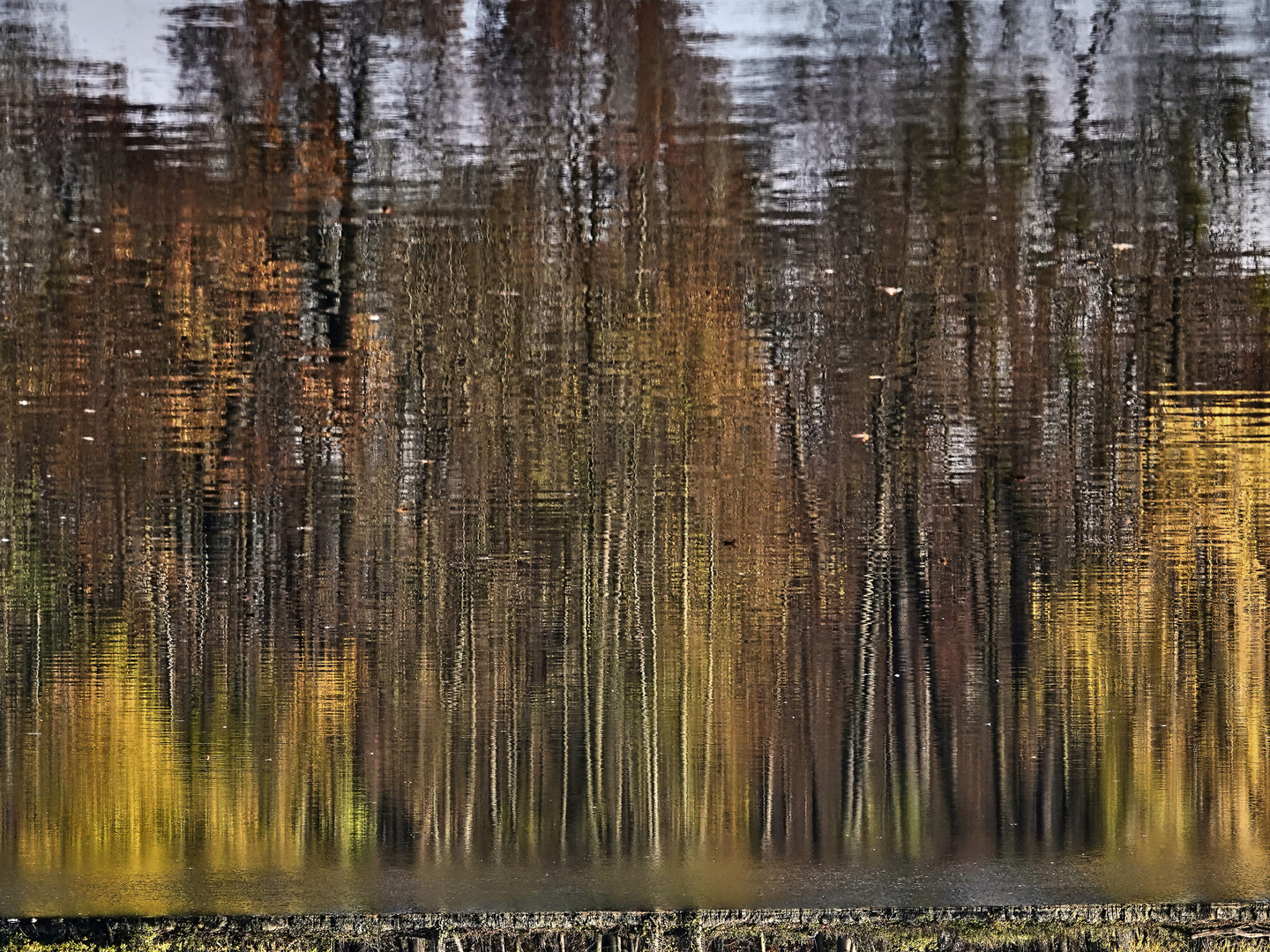 Herbstliche Spiegelung 8 