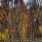 Herbstliche Spiegelung 8 