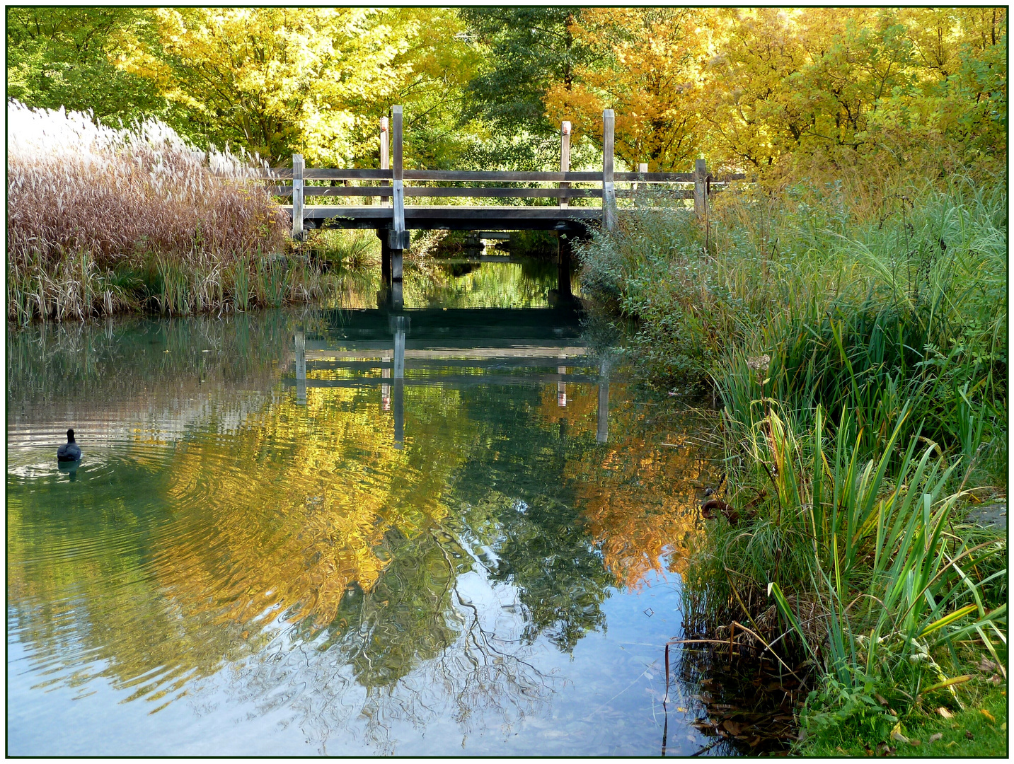 herbstliche Spiegelung