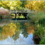 herbstliche Spiegelung