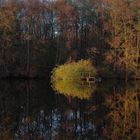 herbstliche Spiegelung