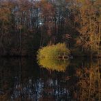 herbstliche Spiegelung