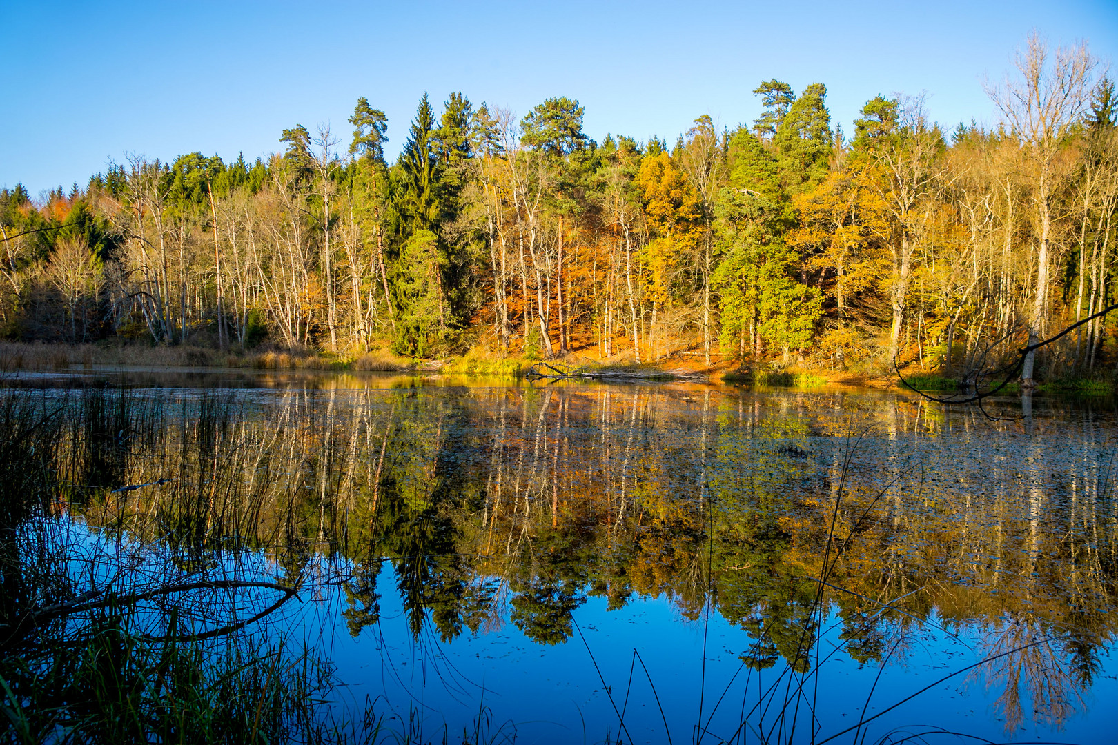 Herbstliche Spiegelung