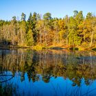 Herbstliche Spiegelung