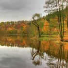 Herbstliche Spiegelung