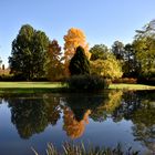 Herbstliche Spiegelung