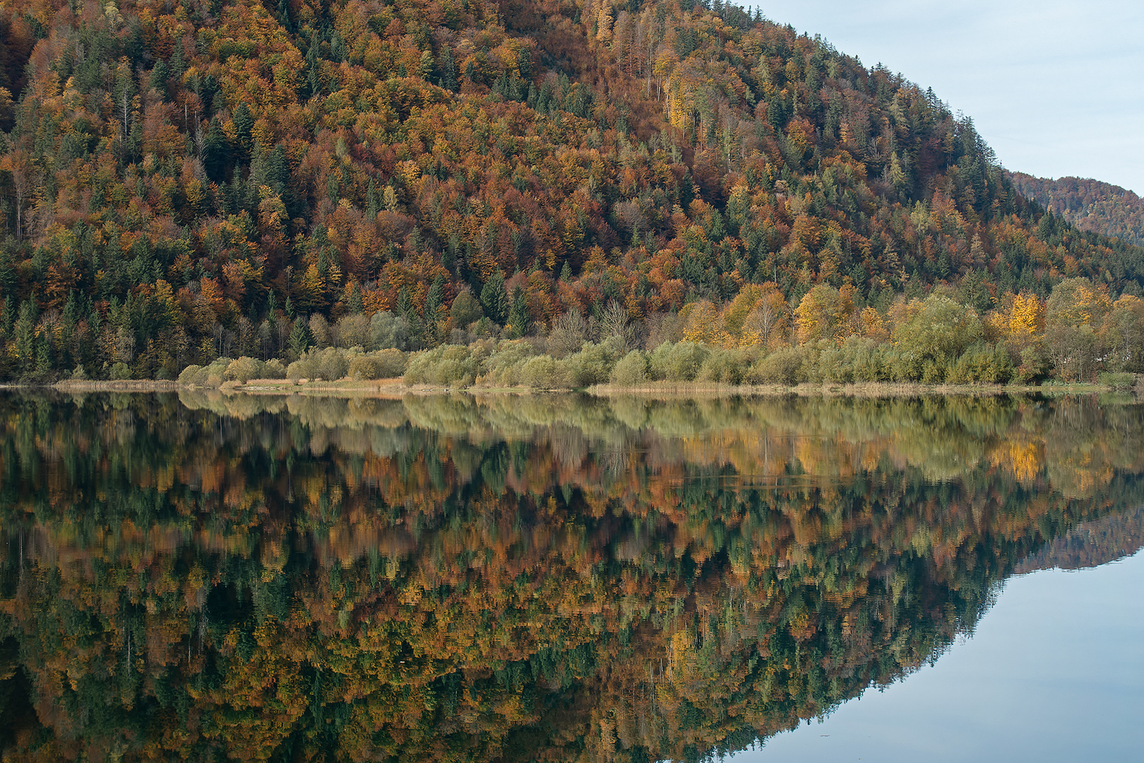 herbstliche Spiegelung