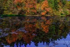 Herbstliche Spiegelung