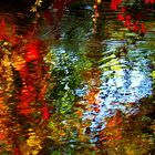 Herbstliche Spiegelung am Bach