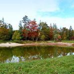 Herbstliche Spiegelung am Bömbachsee...