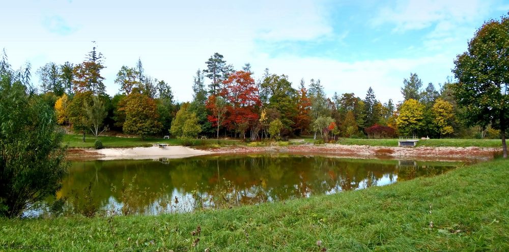 Herbstliche Spiegelung am Bömbachsee...