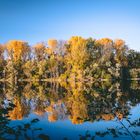 Herbstliche Spiegelung am Erlachsee