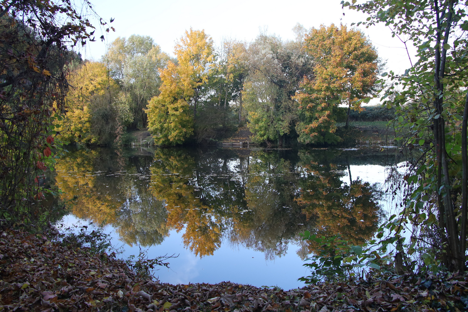 Herbstliche Spiegelung am Fischweiher
