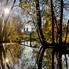 Herbstliche Spiegelung am Grünbach.