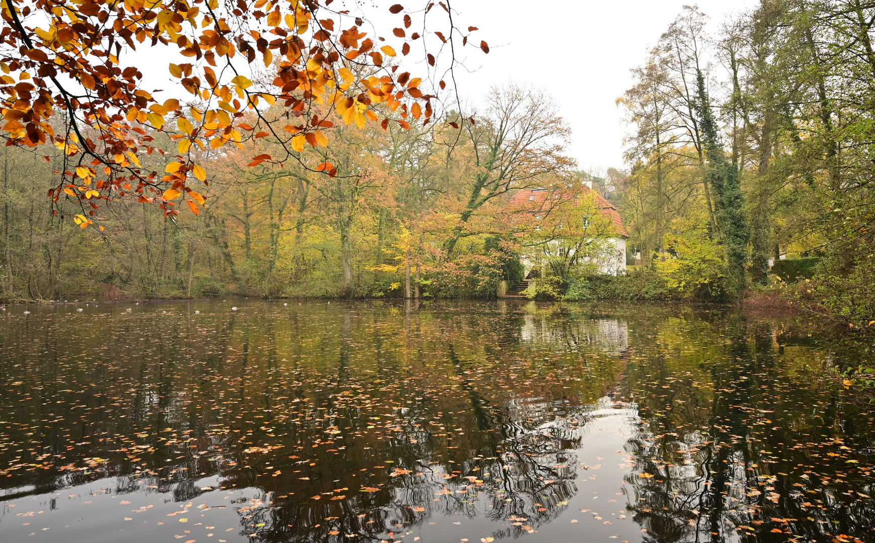 Herbstliche Spiegelung am Mühlenteich