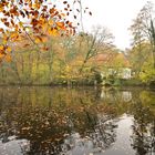 Herbstliche Spiegelung am Mühlenteich