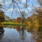 Herbstliche Spiegelung am Teich