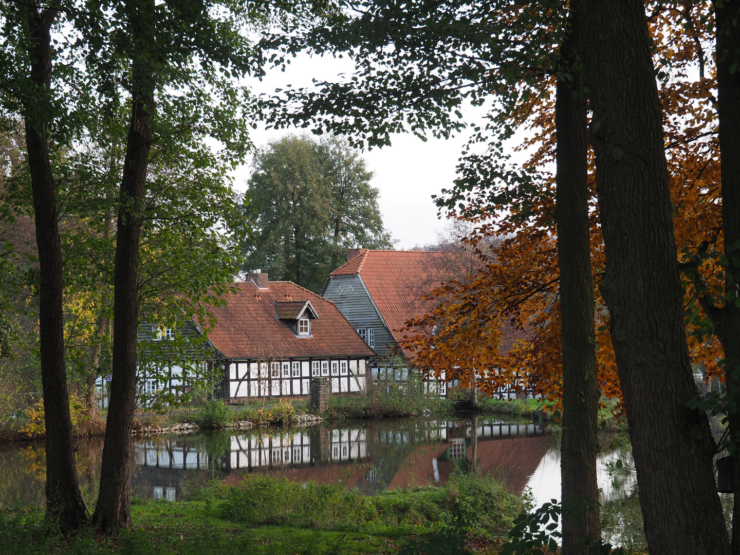 herbstliche Spiegelung