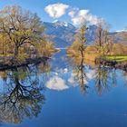 Herbstliche Spiegelung...