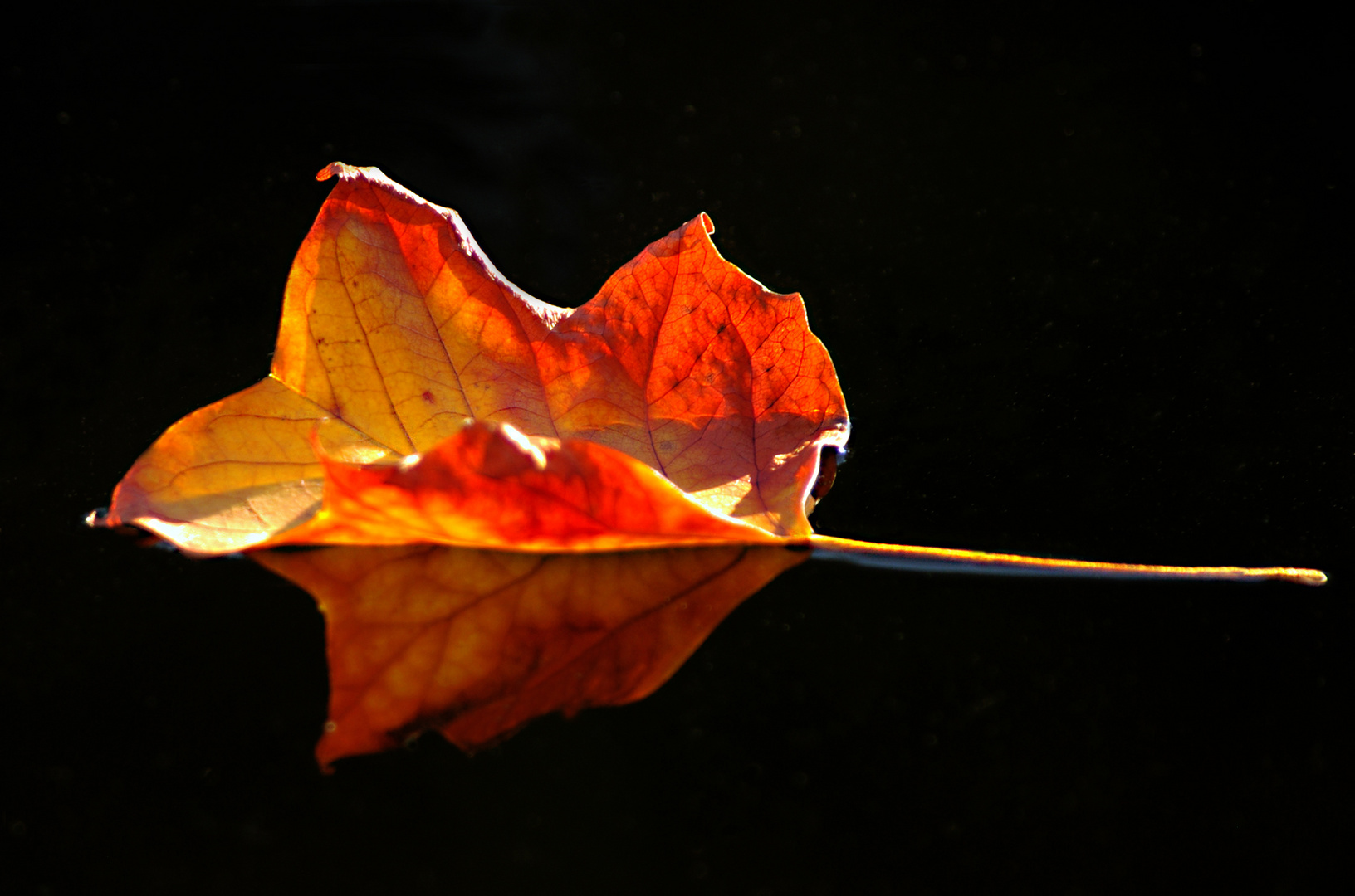 Herbstliche Spiegelung....