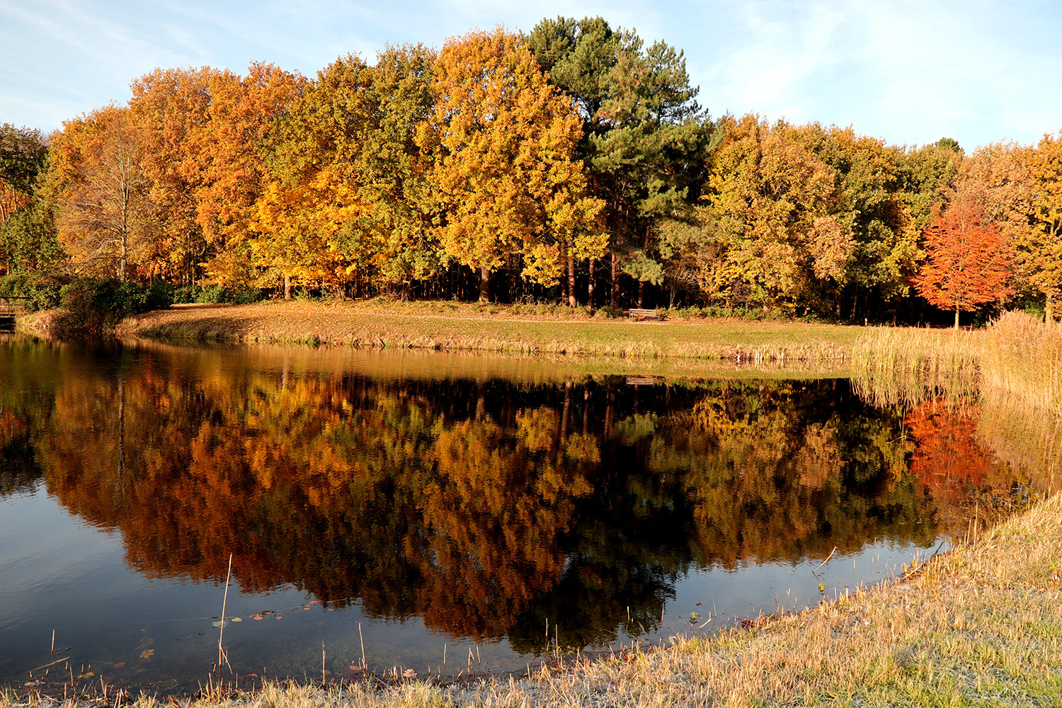 Herbstliche Spiegelung