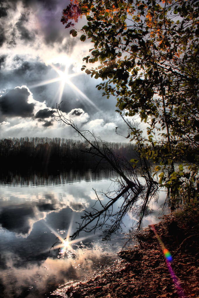 Herbstliche Spiegelung