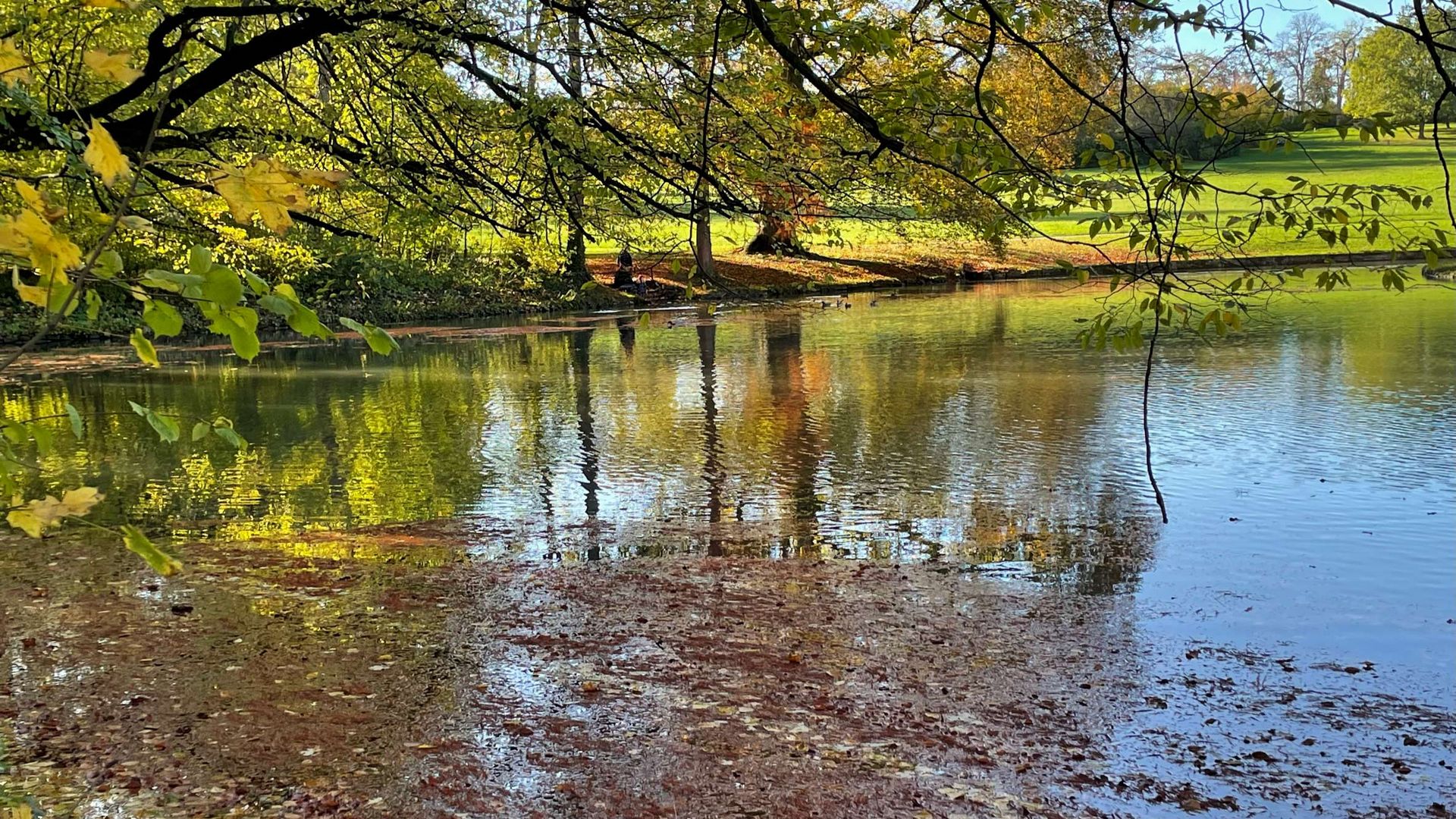 herbstliche Spiegelung