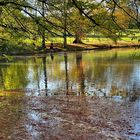 herbstliche Spiegelung