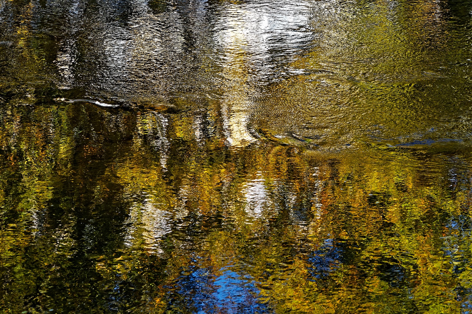 Herbstliche Spiegelung