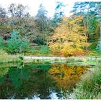 Herbstliche Spiegelung