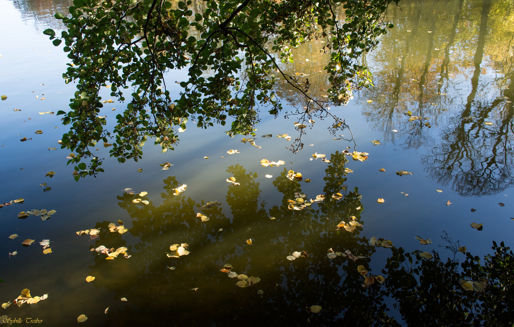 Herbstliche Spiegelung