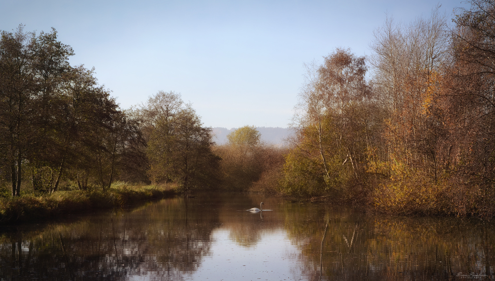 Herbstliche Spiegelung