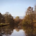 Herbstliche Spiegelung