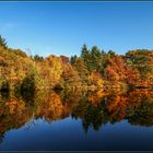 Herbstliche Spiegelung