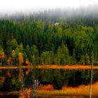 Herbstliche Spiegelung