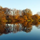 herbstliche Spiegelung