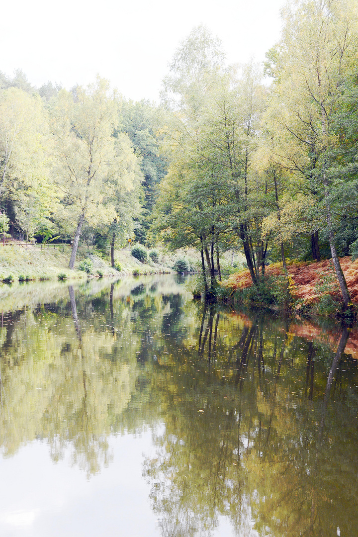 Herbstliche Spiegelung, einmal anders bearbeitet