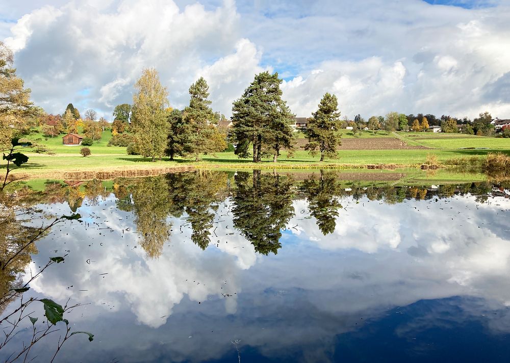 herbstliche Spiegelung