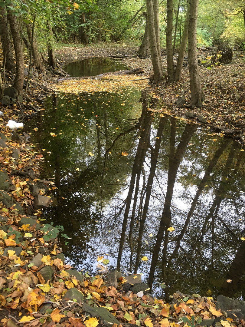 herbstliche Spiegelung