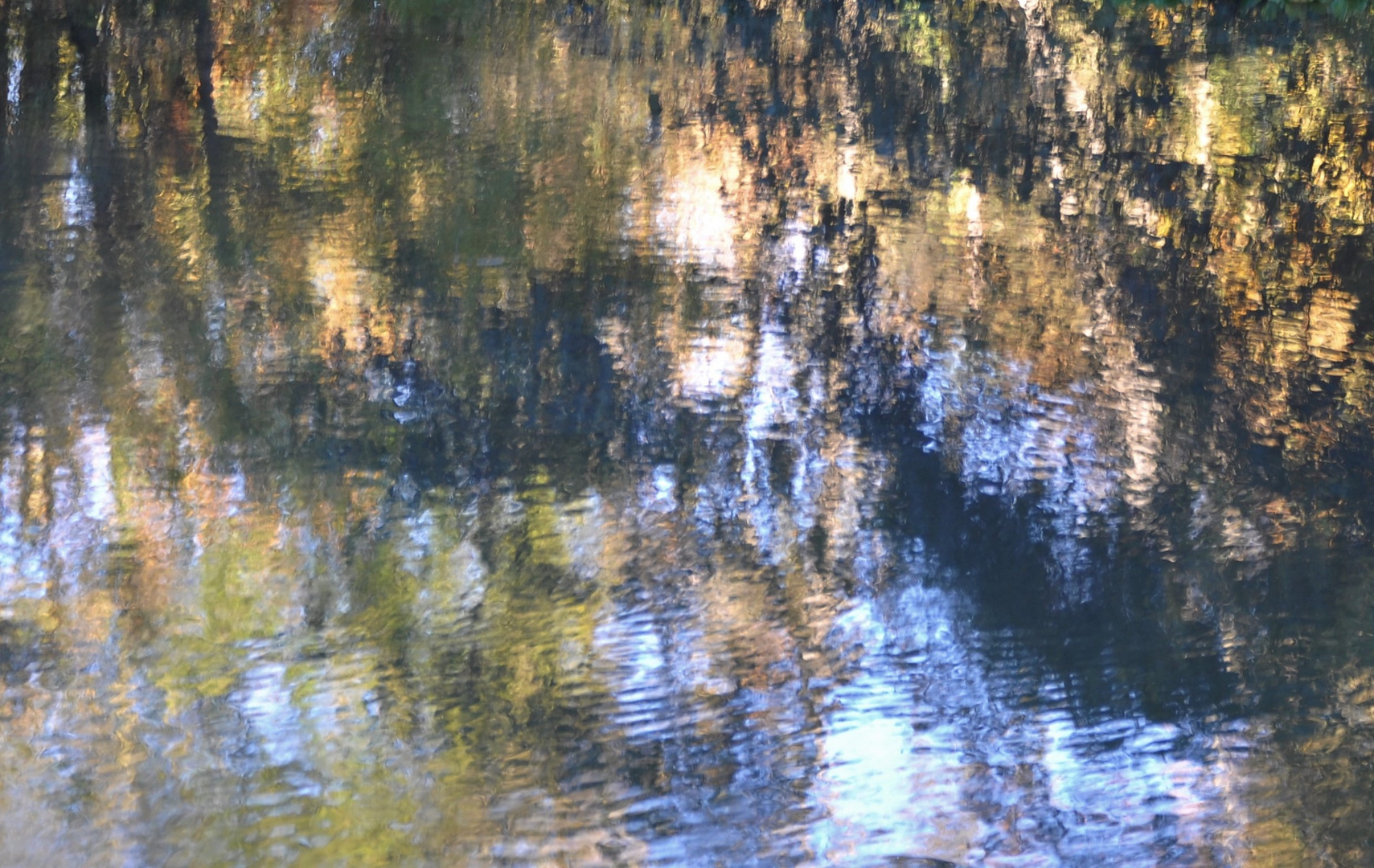 herbstliche Spiegelung im Fluss