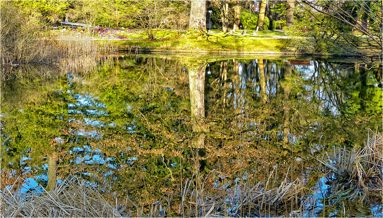 HERBSTLICHE SPIEGELUNG IM FRÜHJAR