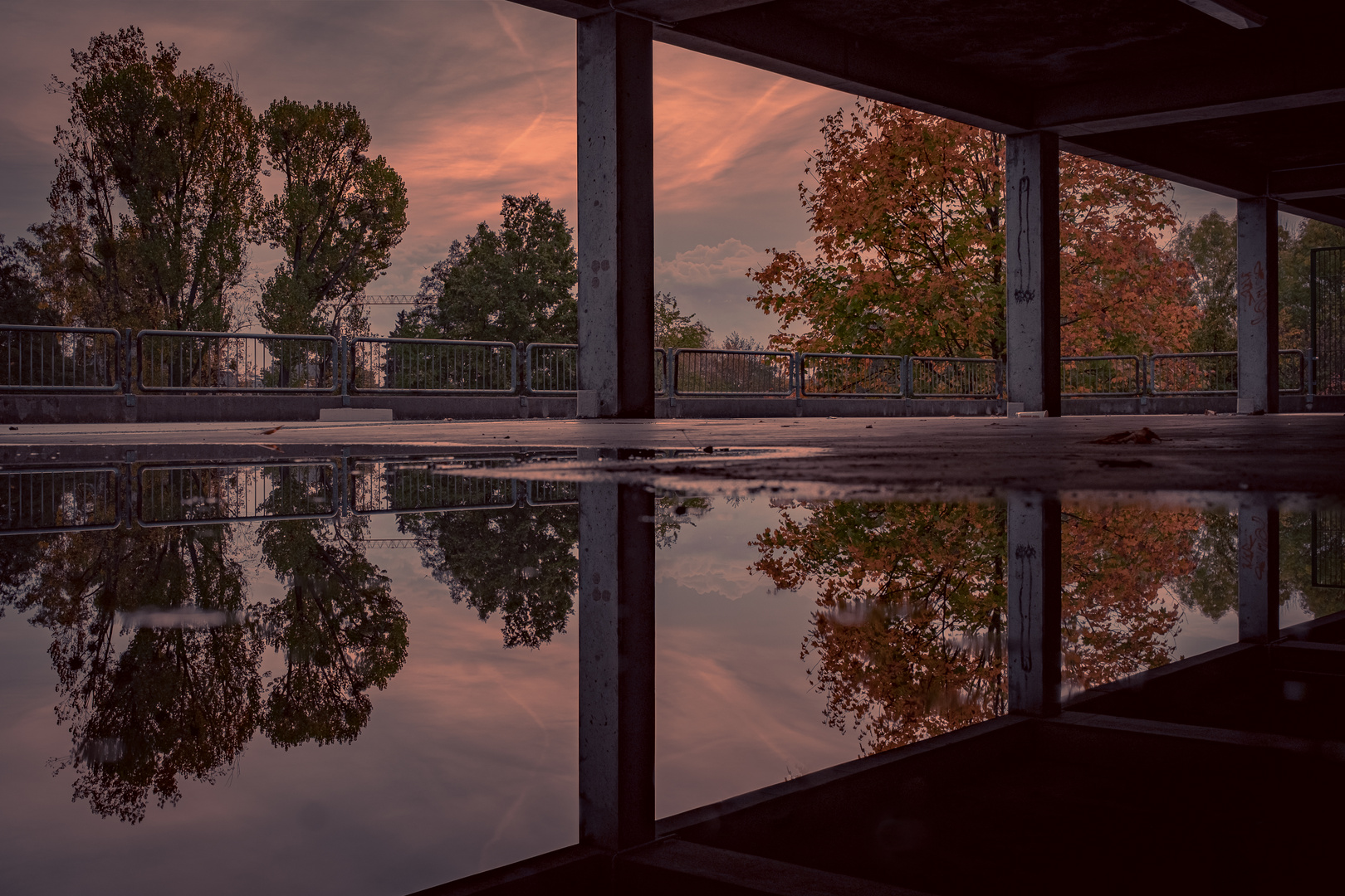 Herbstliche Spiegelung im Garagendeck