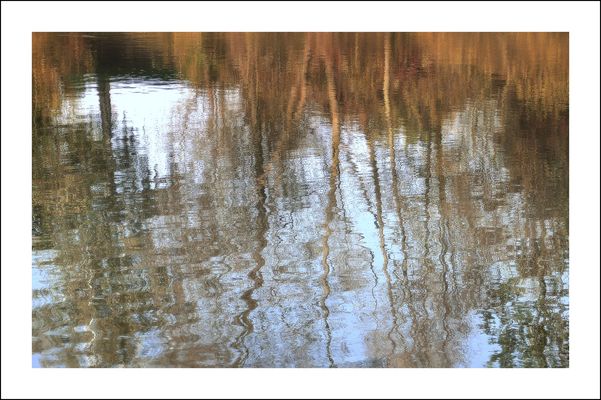 Herbstliche Spiegelung im Teich