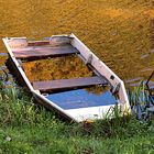 Herbstliche Spiegelung im Wasser