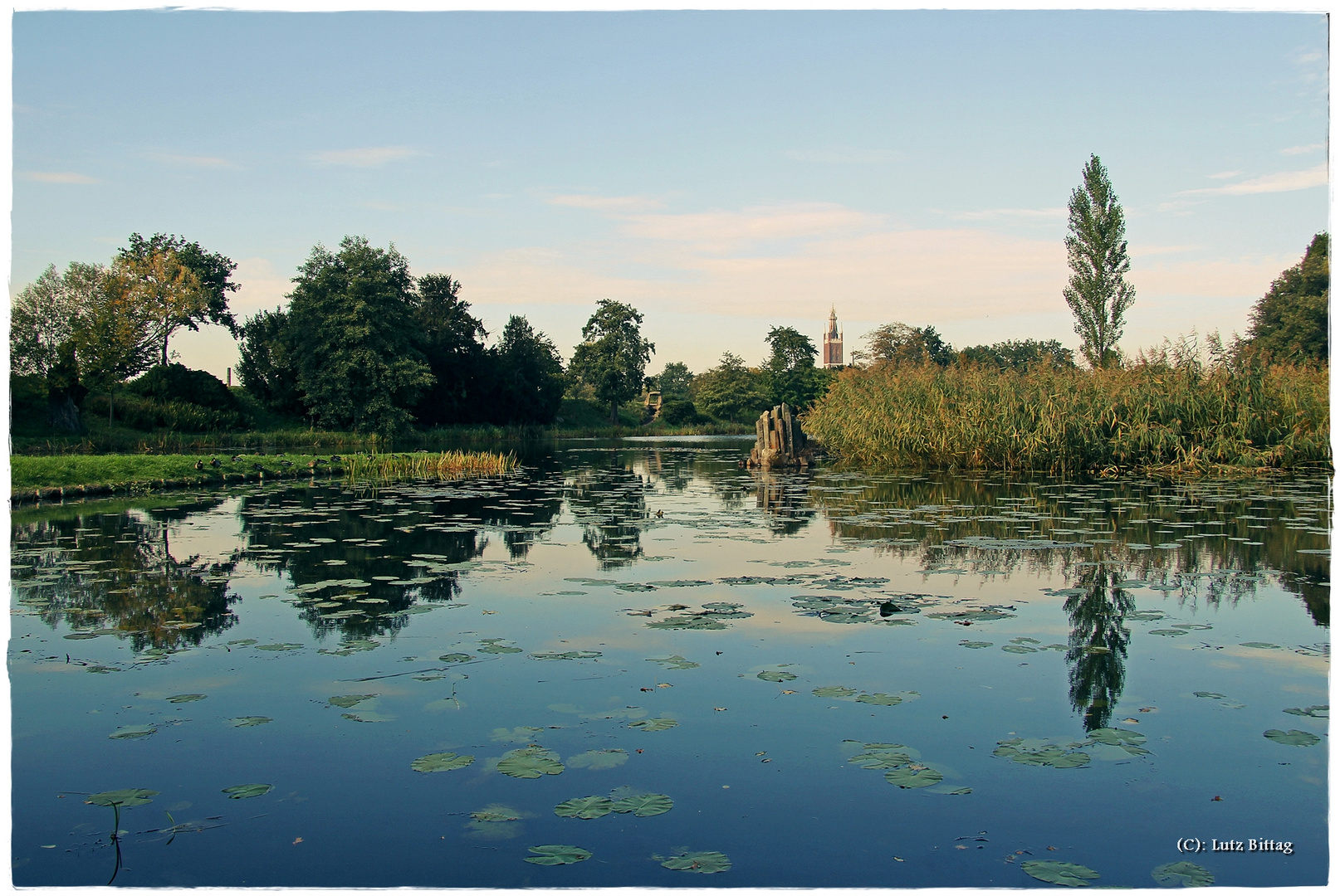 Herbstliche Spiegelung im Wörlitzer Park