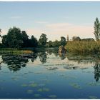 Herbstliche Spiegelung im Wörlitzer Park