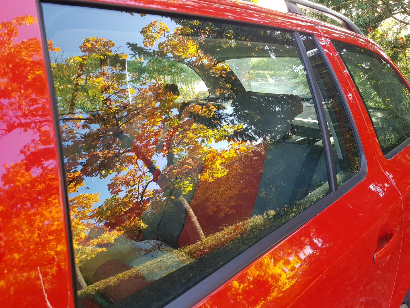 Herbstliche Spiegelung in der Autoscheibe