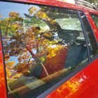 Herbstliche Spiegelung in der Autoscheibe